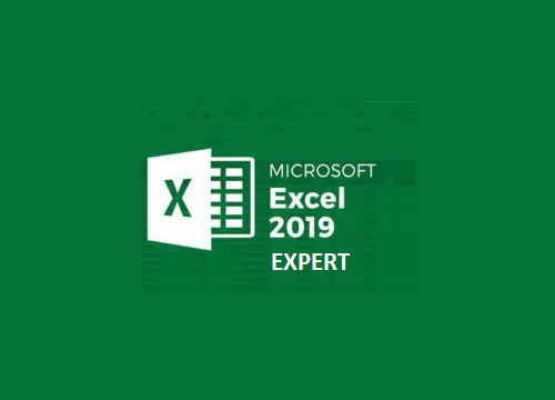 Excel 2019 Expert Logo.png
